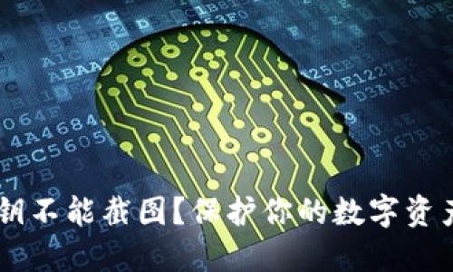 为什么TP钱包私钥不能截图？保护你的数字资产安全的五大理由