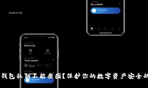 为什么TP钱包私钥不能截图？保护你的数字资产安全的五大理由
