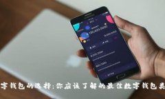 数字钱包的选择：你应该