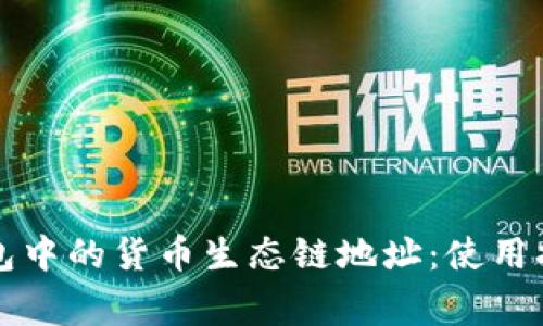 全面解析TP钱包中的货币生态链地址：使用指南与注意事项