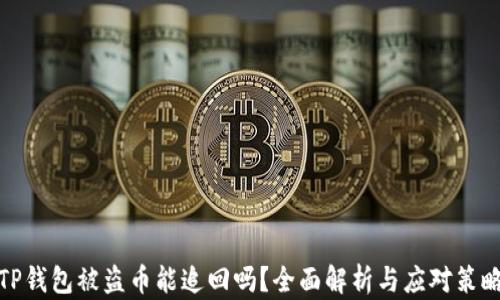 
TP钱包被盗币能追回吗？全面解析与应对策略