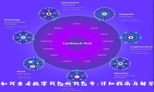 如何查看数字钱包的钱包号：详细指南与解答