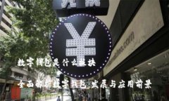 数字钱包是什么板块全面解析数字钱包：发展与