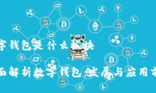 数字钱包是什么板块

全面解析数字钱包：发展与应用前景