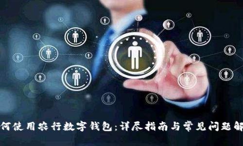 如何使用农行数字钱包：详尽指南与常见问题解答