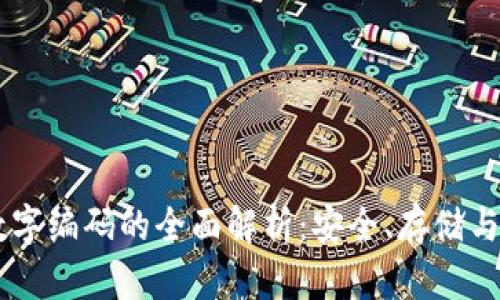 BV钱包数字编码的全面解析：安全、存储与管理指南