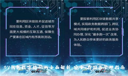 BV钱包数字编码的全面解析：安全、存储与管理指南