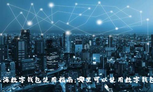 上海数字钱包使用指南：哪里可以使用数字钱包？