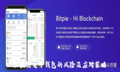   区块链电子钱包的风险及应对策略