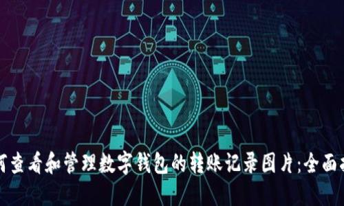 如何查看和管理数字钱包的转账记录图片：全面指南