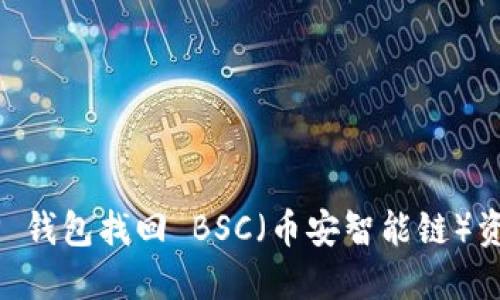 如何使用 TP 钱包找回 BSC（币安智能链）资产：全面指南
