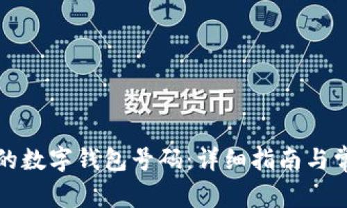 如何查询你的数字钱包号码：详细指南与常见问题解答