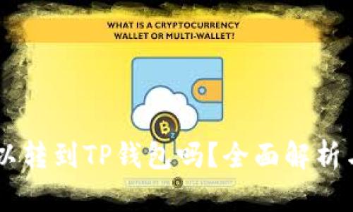 : USDT可以转到TP钱包吗？全面解析与操作指南