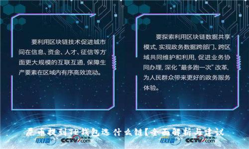 屎币提到TP钱包选什么链？全面解析与建议