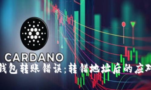 如何处理TP钱包转账错误：转错地址后的应对措施与建议