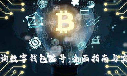 如何查询数字钱包编号：全面指南与实用技巧
