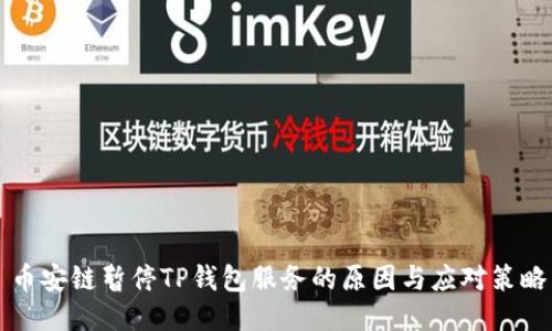币安链暂停TP钱包服务的原因与应对策略