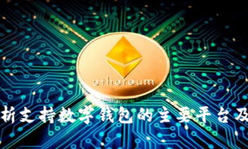 全面解析支持数字钱包的主要平台及其特点