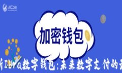 全面解析Ibra数字钱包：未来数字支付的最佳选择
