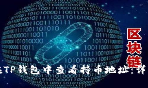 如何在TP钱包中查看持币地址：详细指南