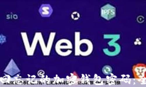 
如何找回忘记的加密钱包密码：全面指南