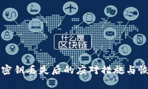 TP钱包密钥丢失后的应对措施与恢复方法