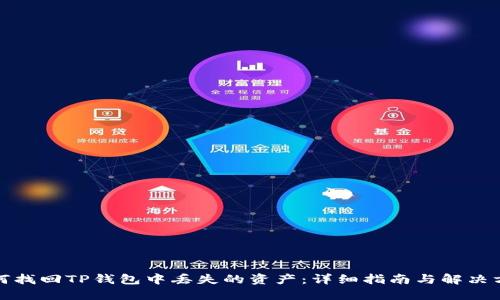 如何找回TP钱包中丢失的资产：详细指南与解决方案