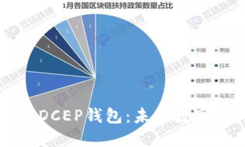 详解央行数字货币DCEP钱包：未来数字支付的趋势与应用