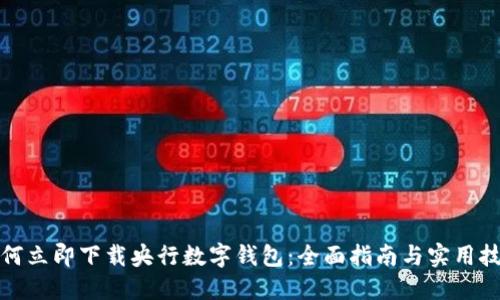 如何立即下载央行数字钱包：全面指南与实用技巧