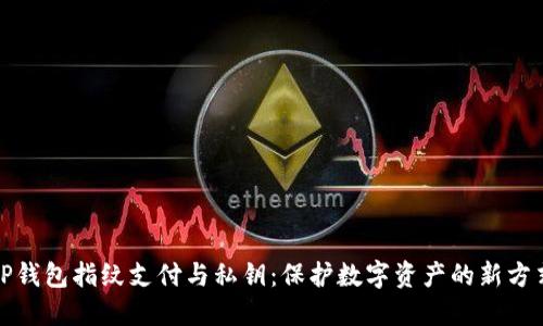 TP钱包指纹支付与私钥：保护数字资产的新方式