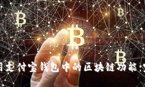 如何使用支付宝钱包中的区块链功能：完整指南