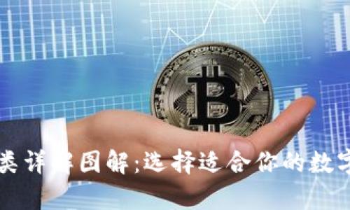 区块链钱包种类详解图解：选择适合你的数字资产存储方案