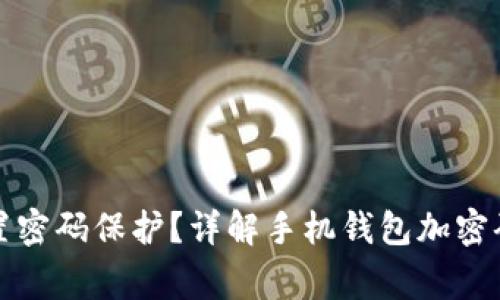 如何为手机钱包设置密码保护？详解手机钱包加密码的步骤与注意事项