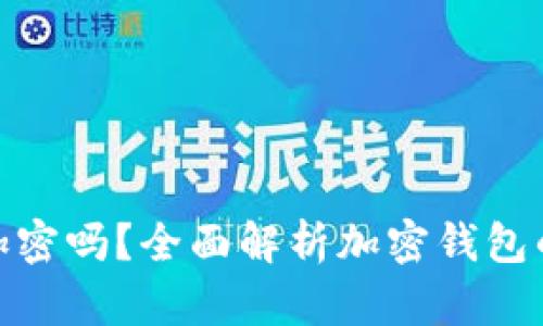 加密钱包真的加密吗？全面解析加密钱包的安全性与风险
