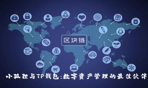  小狐狸与TP钱包：数字资产管理的最佳伙伴