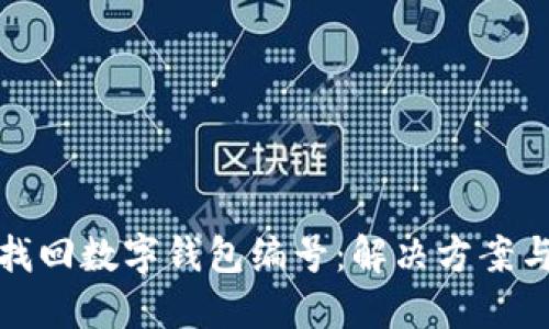 如何找回数字钱包编号：解决方案与技巧