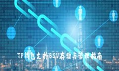 TP钱包支持BSV存储与管理指南
