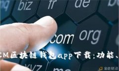 : 全面解析DCM区块链钱包app下载：功能、特点与安