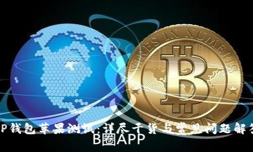 TP钱包苹果测试：详尽干货与常见问题解答