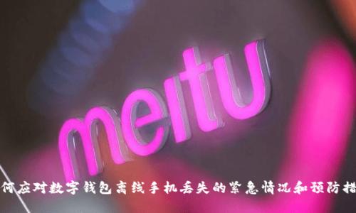 如何应对数字钱包离线手机丢失的紧急情况和预防措施