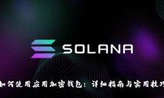 如何使用应用加密钱包: 详细指南与实用技巧