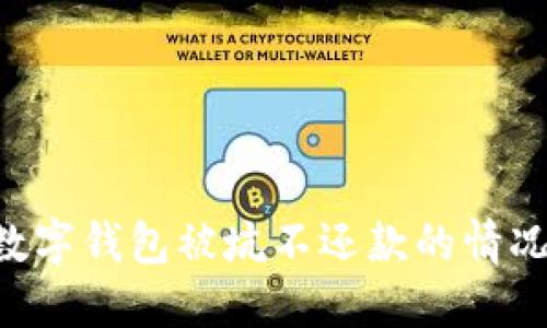 如何避免数字钱包被坑不还款的情况：全面指南