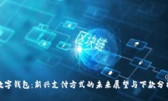 数字钱包：新兴支付方式的未来展望与下款分析
