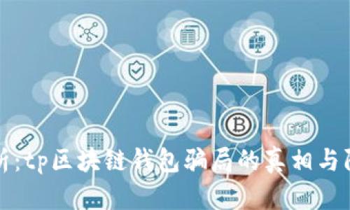 深入分析：tp区块链钱包骗局的真相与防范策略