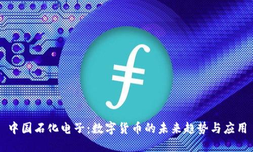 中国石化电子：数字货币的未来趋势与应用